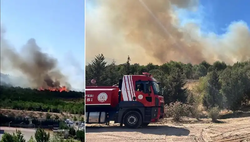 Gebze'de Orman Yangını: Ekipler Acil Müdahalede Bulundu