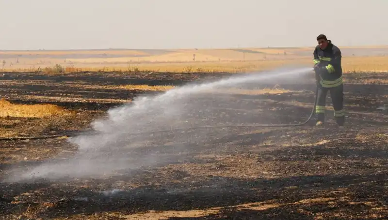 Eskişehir'de Trafo Yangını Tarım Arazisini Kül Etti: Sebepleri ve Sonuçları