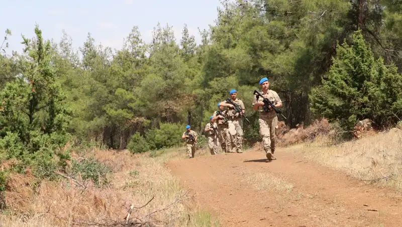 Kilis’te Orman Yangınlarıyla Mücadele: Denetimler Artıyor!